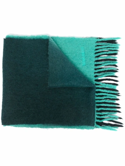 Nina Ricci Gradient-effect Felted Scarf In Green