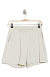 Bella+canvas Cult Shorts In Cement