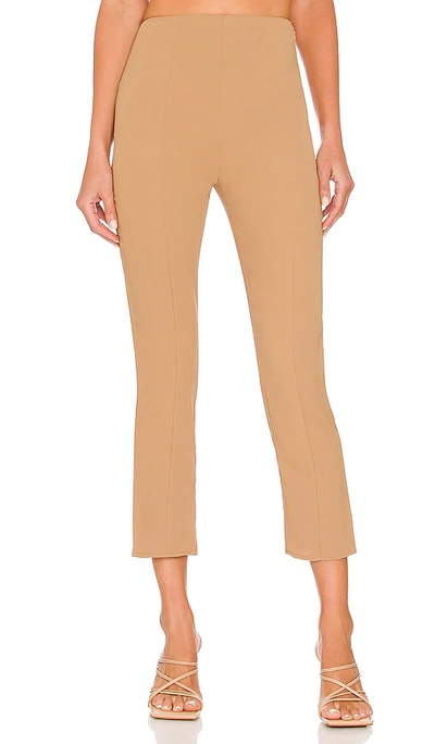 Lovers & Friends Liam Pant In Nude