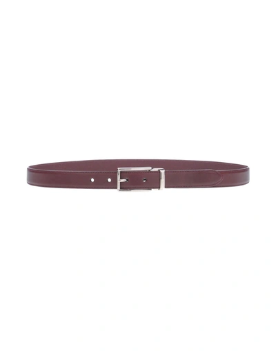 Dolce & Gabbana Belts In Maroon