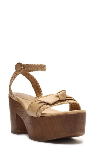 Alexandre Birman Clarita Ankle Strap Platform Sandal In Brown