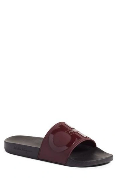 Ferragamo Men's Groove 2 Original Double Gancini Slide Sandals In Wine/ Nero