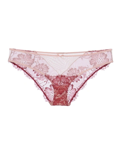 Blugirl Blumarine Underwear In Garnet | ModeSens