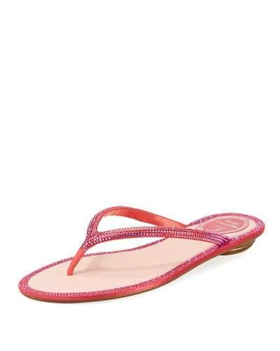 René Caovilla Flat Strass Thong Sandal In Rose