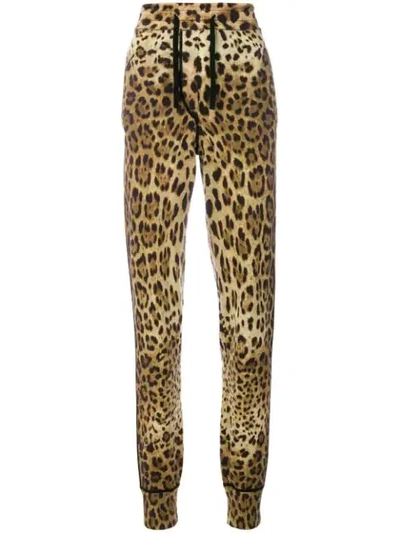 Dolce & Gabbana Leopard Print Track Pants In Brown