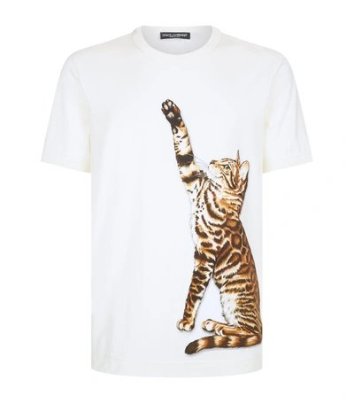 Dolce Gabbana Applique Cat T shirt In Multi ModeSens