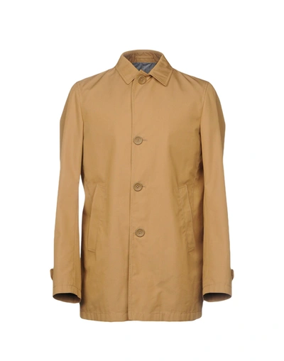 Herno Overcoats In Camel