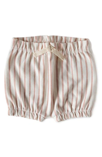 Pehr Babies' Stripes Away Bubble Shorts In Pink2