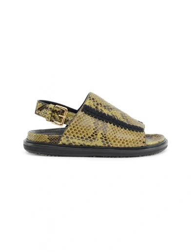 Marni Python Leather Sandals In Khaki