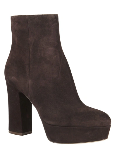 Gianvito Rossi Velvet Foley Ankle Boots In Moka