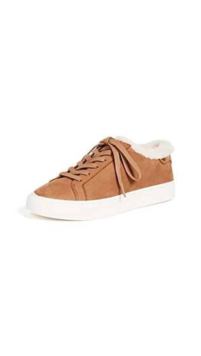 Tory Burch Lawrence Genuine Shearling Lined Sneaker In Royal Tan