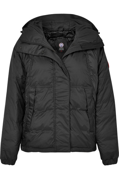 campden canada goose