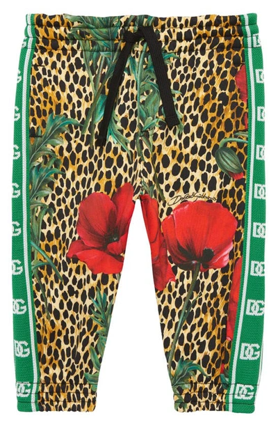 Dolce & Gabbana Kids' Leopard Floral Print Cotton Joggers In Papaveri F.ocelot
