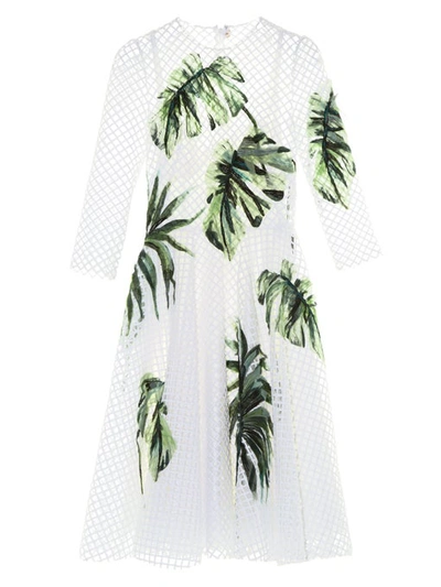 Dolce & Gabbana Lattice Tulle Leaf Embroidered Dress In White