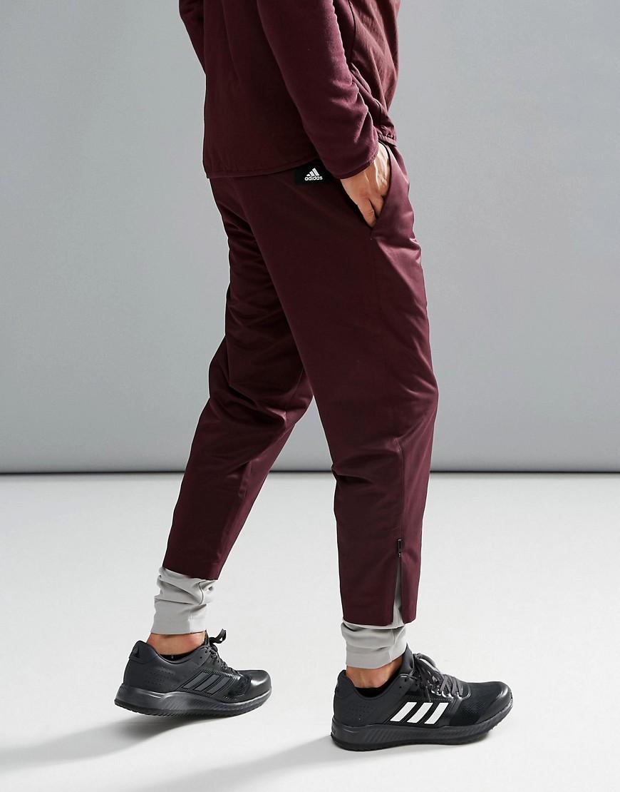 echt storm joggers