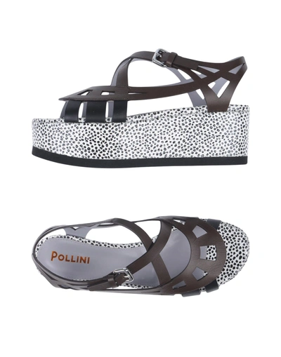 Pollini Sandals In Brown