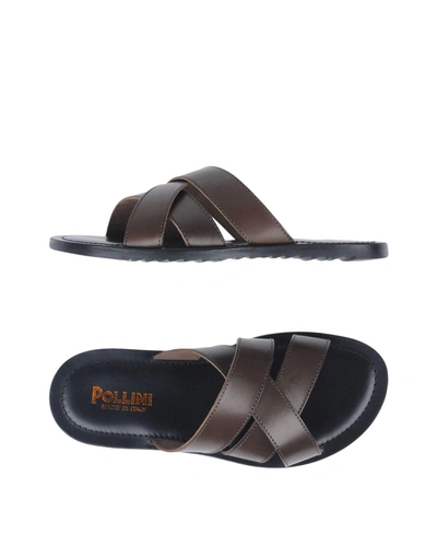 Pollini Sandals In Dark Brown