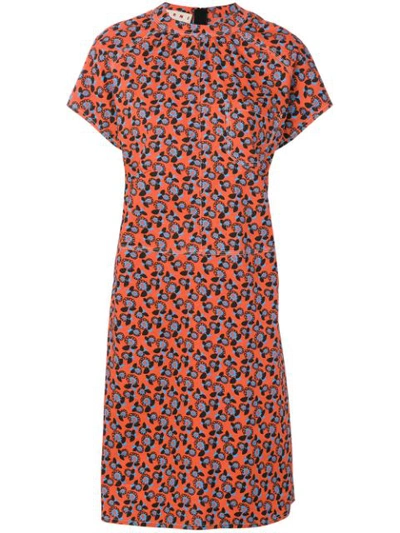 Marni Short-sleeve Floral-print Cotton Dress In Orange-blue