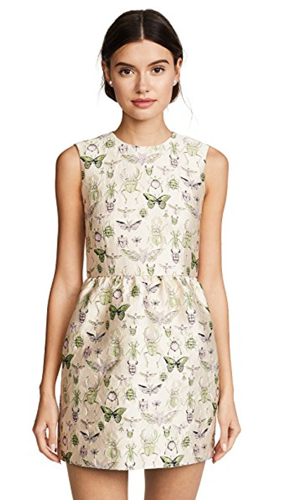 Red Valentino Brocade Minidress In Soya