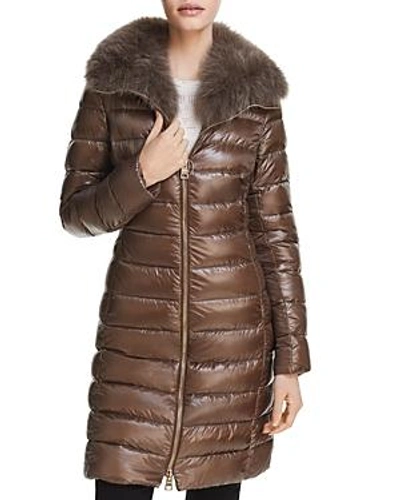 Herno Fox Fur Neck Nylon Down Coat In Pietra