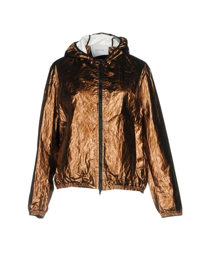 Aglini Jackets In Bronze