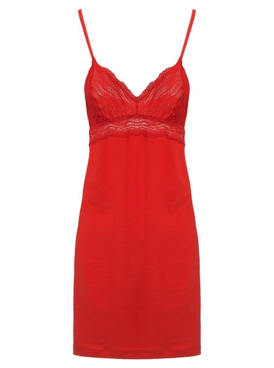 Cosabella Dolce Babydoll Chemise In Poinsettia
