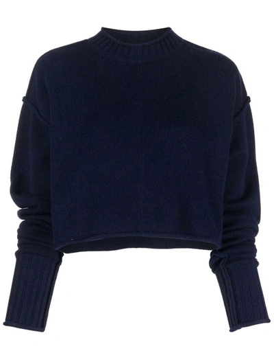 Sportmax Crewneck Sweater In Wool And Cashmere In Blue