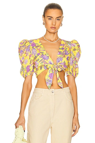 Hemant & Nandita Hemant And Nandita Floral Tie Front Cropped Top In Canary Yellow