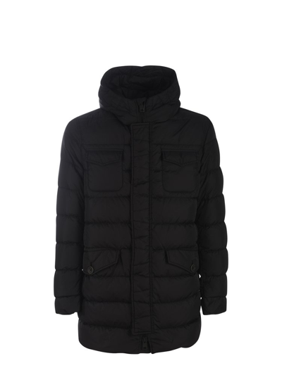 Herno Padded Hooded Jacket In Nero