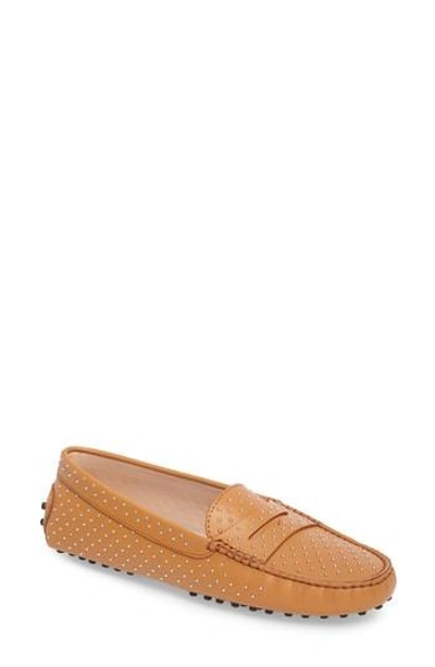 Tod's Gommini Stud Penny Loafer In Brown