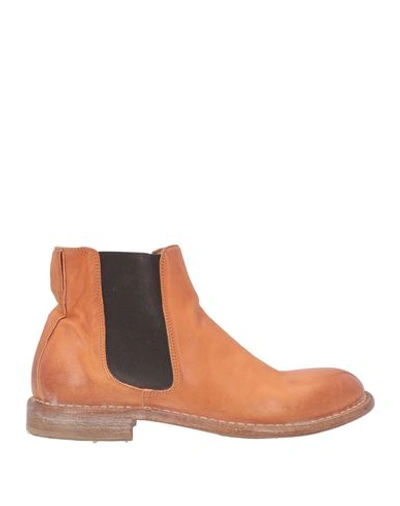 Moma Ankle Boots In Brown