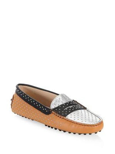 Tod's Gommini Micro-stud Leather Driving Loafers In Brown/silver/black
