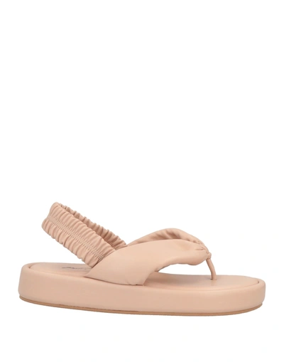 Paolo Mattei Toe Strap Sandals In Pink
