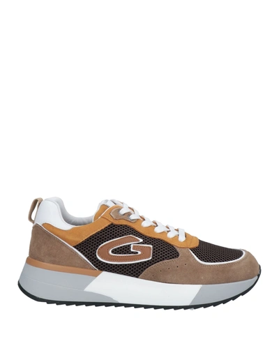 Alberto Guardiani Sneakers In Light Brown
