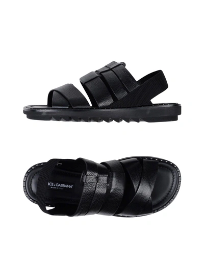 Dolce & Gabbana Sandals In Black