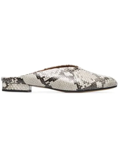 Atp Atelier Snake Albi Leather Mules - Grey