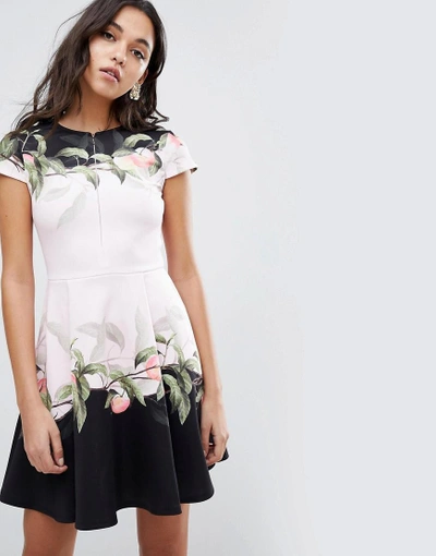 Ted Baker Antana Skater Dress In Peach Blossom Print Pink