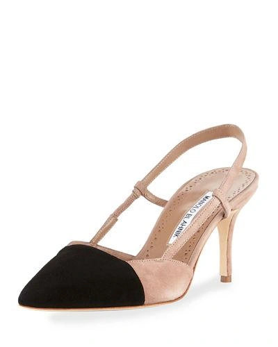 Manolo Blahnik Evocity Bicolor Suede Slingback Pump In Taupe
