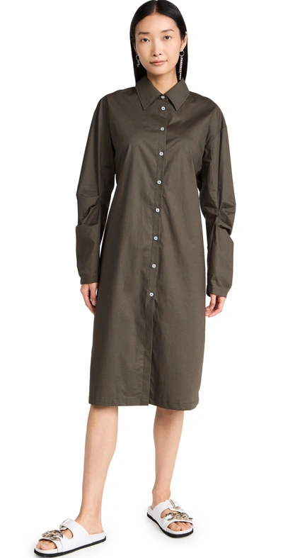 Acne Studios Cotton-blend Shirt Dress In Mud Grey