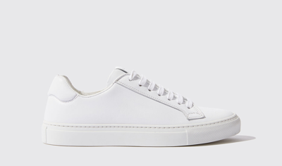 Scarosso Cecilia Sneakers In White - Suede