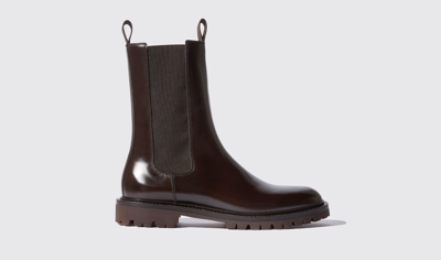 Scarosso Wooster Boots In Brown - Brushed Calf