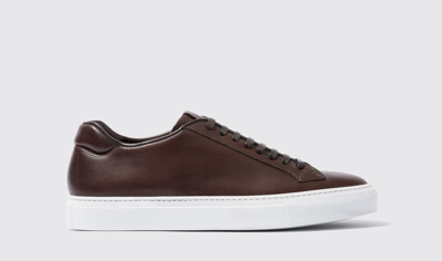 Scarosso Ugo Sneakers In Dark Brown Calf