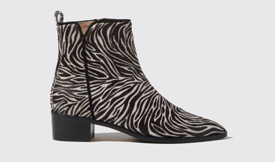 Scarosso Alba Boots In Zebra - Pony