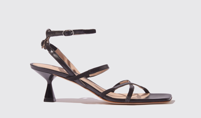 Scarosso Sally Sandals In Black - Calf