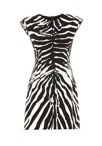 Dolce & Gabbana Pintucked Zebra-print Crepe Mini Dress In Hwagn