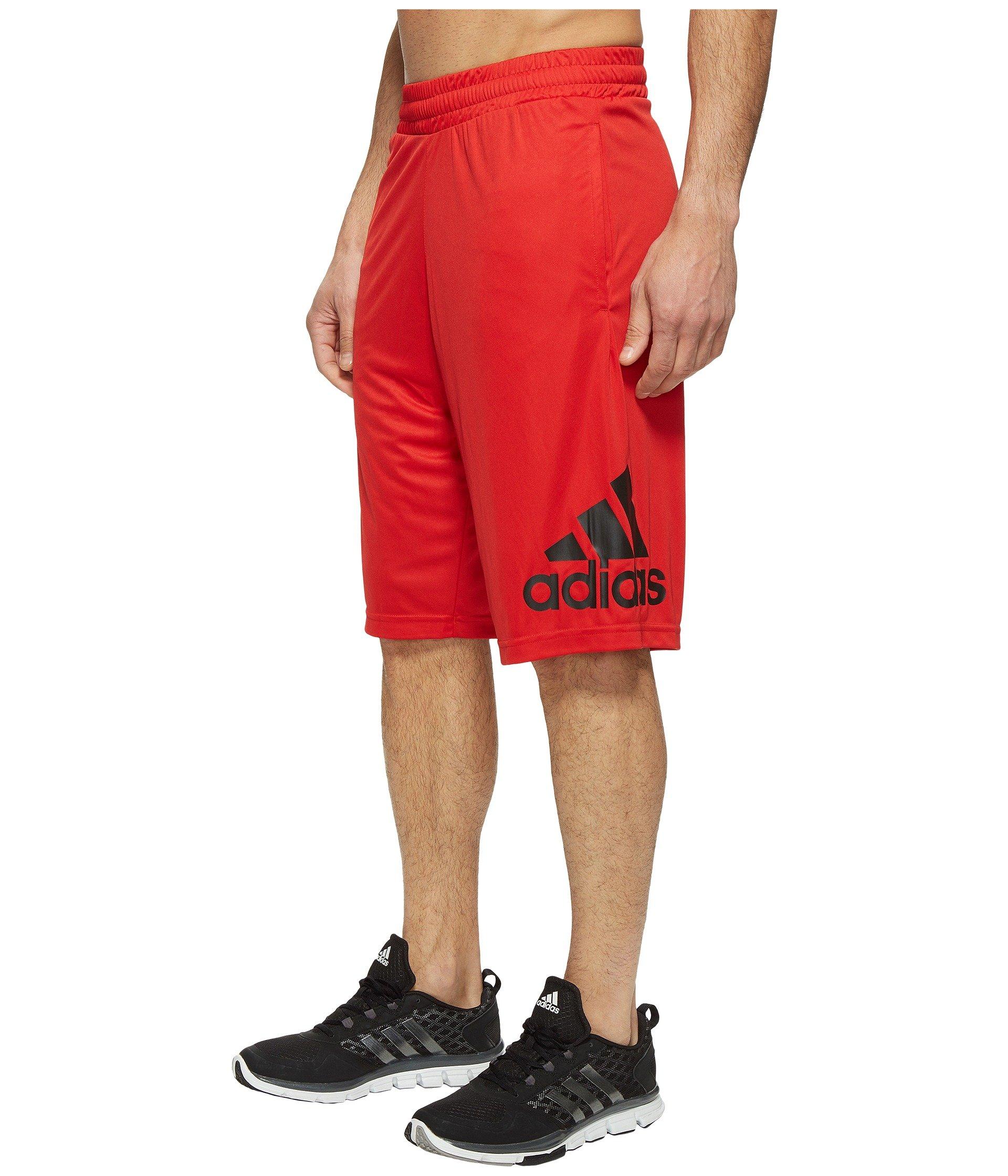 crazylight shorts