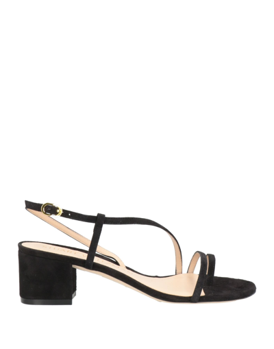 Stuart Weitzman Mariposa Pvc-trimmed Suede Sandals In Black