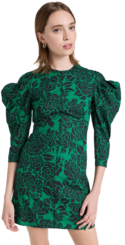 Philosophy Di Lorenzo Serafini Puff Sleeve Floral Mini Dress In Fantasy Print Green