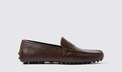 Scarosso Michael Loafers In Brown - Calf