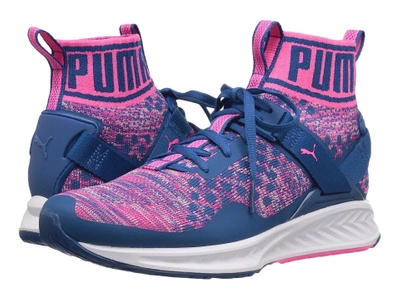 Puma Ignite Evoknit In True Blue/knockout Pink/ White | ModeSens